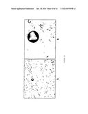 BIOCOMPATIBLE METHOD OF FUNCTIONALISING SUBSTRATES WITH INERT SURFACES diagram and image