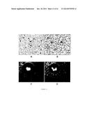 BIOCOMPATIBLE METHOD OF FUNCTIONALISING SUBSTRATES WITH INERT SURFACES diagram and image