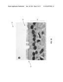 CELL CULTURE LIQUID/GAS-PHASE CHAMBER DEVICES AND RELATED METHODS, AND     EXEMPLARY USE FOR MEASURING ACCUMULATION OF GAS-PHASE NITRIC OXIDE IN     DIFFERENTIATED CULTURES OF NORMAL AND CYSTIC FIBROSIS AIRWAY EPITHELIAL     CELLS diagram and image