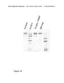 Protease Deficient Filamentous Fungal Cells and Methods of Use Thereof diagram and image