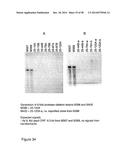 Protease Deficient Filamentous Fungal Cells and Methods of Use Thereof diagram and image