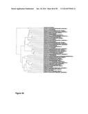 Protease Deficient Filamentous Fungal Cells and Methods of Use Thereof diagram and image