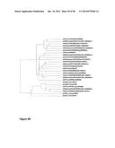 Protease Deficient Filamentous Fungal Cells and Methods of Use Thereof diagram and image