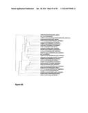 Protease Deficient Filamentous Fungal Cells and Methods of Use Thereof diagram and image