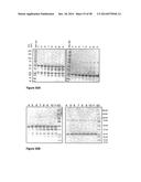 Protease Deficient Filamentous Fungal Cells and Methods of Use Thereof diagram and image