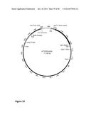 Protease Deficient Filamentous Fungal Cells and Methods of Use Thereof diagram and image