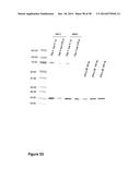 Protease Deficient Filamentous Fungal Cells and Methods of Use Thereof diagram and image