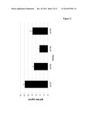 EXPRESSION VECTOR ORGANIZATION, NOVEL PRODUCTION CELL GENERATION METHODS     AND THEIR USE FOR THE RECOMBINANT PRODUCTION OF POLYPEPTIDES diagram and image