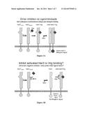 ANTIBODIES IMMUNOREACTIVE WITH HEREGULIN-COUPLED HER3 diagram and image