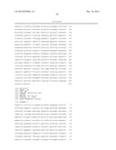 GENETICALLY MODIFIED CLOSTRIDIUM THERMOCELLUM ENGINEERED TO FERMENT XYLOSE diagram and image