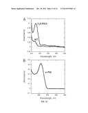 PRODUCTION OF BETA-PHELLANDRENE USING GENETICALLY ENGINEERED CYANOBACTERIA diagram and image