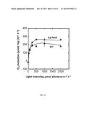 PRODUCTION OF BETA-PHELLANDRENE USING GENETICALLY ENGINEERED CYANOBACTERIA diagram and image