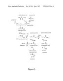 MODIFIED MICROORGANISMS AND METHODS OF MAKING BUTADIENE USING SAME diagram and image