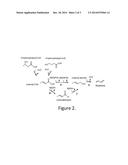 MODIFIED MICROORGANISMS AND METHODS OF MAKING BUTADIENE USING SAME diagram and image