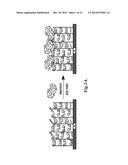 DUAL-FUNCTIONAL NONFOULING SURFACES COMPRISING TARGET BINDING PARTNER     COVALENTLY COUPLED TO POLYMER ATTACHED TO SUBSTRATE diagram and image