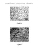 DUAL-FUNCTIONAL NONFOULING SURFACES COMPRISING TARGET BINDING PARTNER     COVALENTLY COUPLED TO POLYMER ATTACHED TO SUBSTRATE diagram and image