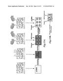 DUAL-FUNCTIONAL NONFOULING SURFACES COMPRISING TARGET BINDING PARTNER     COVALENTLY COUPLED TO POLYMER ATTACHED TO SUBSTRATE diagram and image