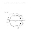 Metabolically Enhanced Cyanobacterial Cell for the Production of Ethanol diagram and image