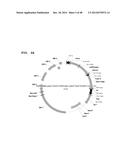 Metabolically Enhanced Cyanobacterial Cell for the Production of Ethanol diagram and image