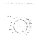 Metabolically Enhanced Cyanobacterial Cell for the Production of Ethanol diagram and image