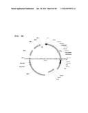 Metabolically Enhanced Cyanobacterial Cell for the Production of Ethanol diagram and image