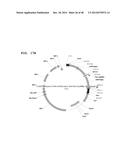 Metabolically Enhanced Cyanobacterial Cell for the Production of Ethanol diagram and image