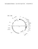 Metabolically Enhanced Cyanobacterial Cell for the Production of Ethanol diagram and image