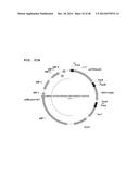 Metabolically Enhanced Cyanobacterial Cell for the Production of Ethanol diagram and image