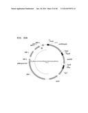 Metabolically Enhanced Cyanobacterial Cell for the Production of Ethanol diagram and image