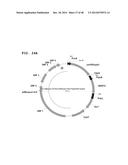 Metabolically Enhanced Cyanobacterial Cell for the Production of Ethanol diagram and image