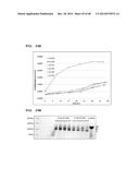 Metabolically Enhanced Cyanobacterial Cell for the Production of Ethanol diagram and image