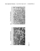 BROWN FAT CELL COMPOSITIONS AND METHODS diagram and image