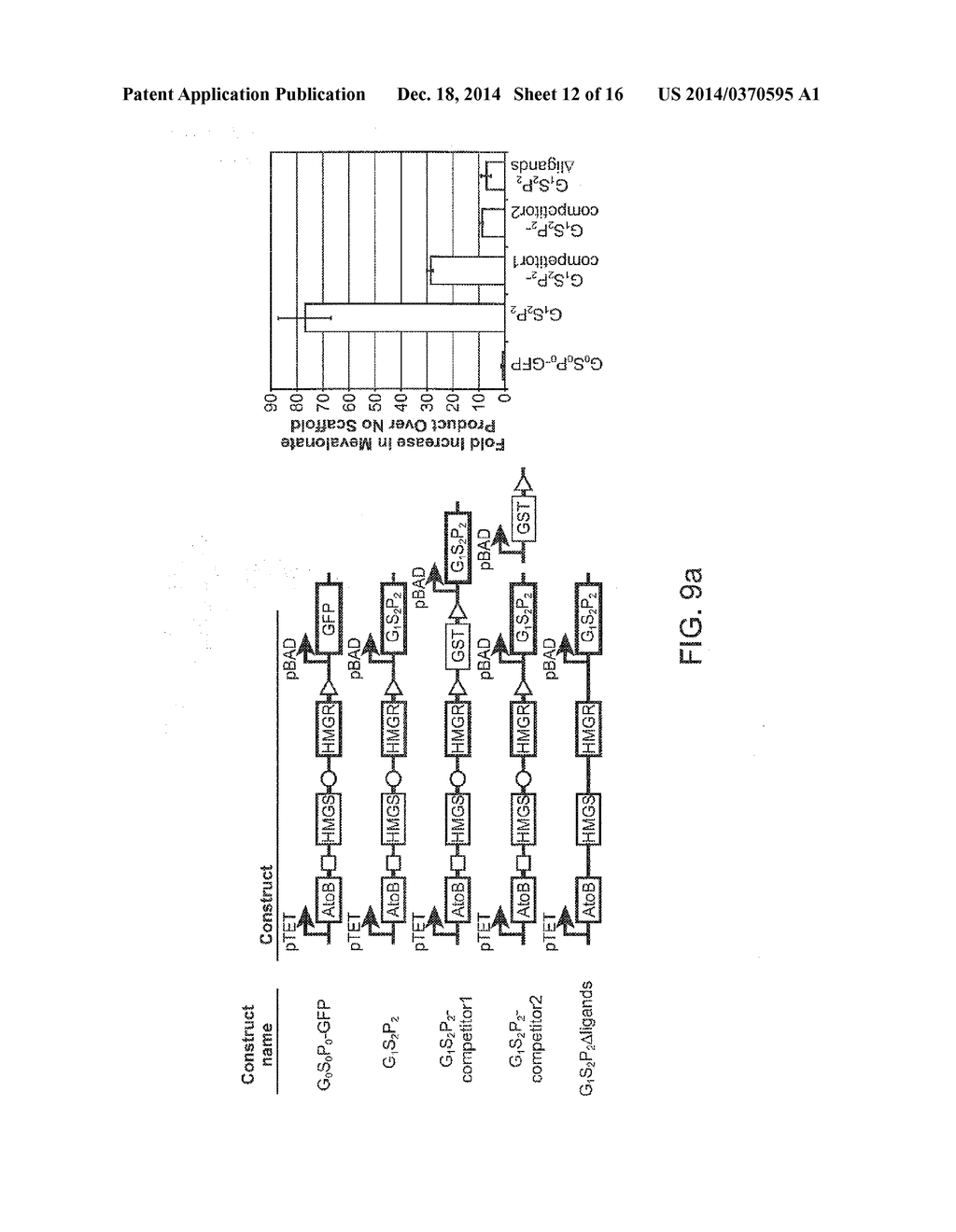 Use of Synthetic Scaffolds for the Production of Biosynthetic Pathway     Products - diagram, schematic, and image 13