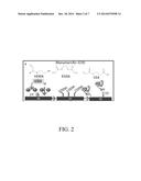 ARTICLES AND METHODS FOR STEM CELL DIFFERENTIATION diagram and image