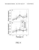 ARTICLES AND METHODS FOR STEM CELL DIFFERENTIATION diagram and image