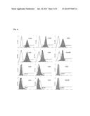 METHOD OF PREPARING MESENCHYMAL STEM CELL BASIC CULTURING MEDIUM, MAKING     OF CELLULAR THERAPY PRODUCT WITH MESENCHYMAL STEM CELL BASIC CULTURING     MEDIUM, AND THE DIFFERENTIATED ONE BY USING THE MEDIUM diagram and image