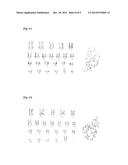 METHOD OF PREPARING MESENCHYMAL STEM CELL BASIC CULTURING MEDIUM, MAKING     OF CELLULAR THERAPY PRODUCT WITH MESENCHYMAL STEM CELL BASIC CULTURING     MEDIUM, AND THE DIFFERENTIATED ONE BY USING THE MEDIUM diagram and image