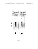 LATERAL FLOW IMMUNOASSAY FOR DETECTING VITAMINS diagram and image