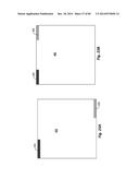 MONOLITHICALLY ISLED BACK CONTACT BACK JUNCTION SOLAR CELLS USING BULK     WAFERS diagram and image