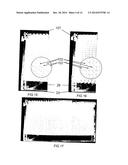 Apiculture diagram and image