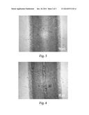 Surface Conditioning Nanolubricant diagram and image