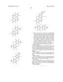 ADHESIVE BIOPOLYMERS AND USES THEREOF diagram and image