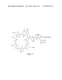 HIGH PURITY LIPOPEPTIDES diagram and image