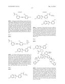 INHIBITORS OF HEPATITIS C VIRUS REPLICATION diagram and image