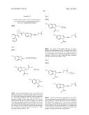 INHIBITORS OF HEPATITIS C VIRUS REPLICATION diagram and image