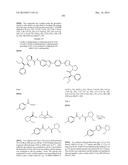 INHIBITORS OF HEPATITIS C VIRUS REPLICATION diagram and image