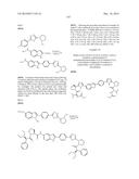 INHIBITORS OF HEPATITIS C VIRUS REPLICATION diagram and image