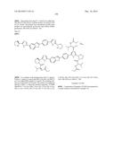 INHIBITORS OF HEPATITIS C VIRUS REPLICATION diagram and image