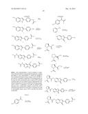 INHIBITORS OF HEPATITIS C VIRUS REPLICATION diagram and image