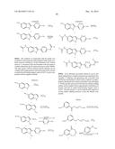 INHIBITORS OF HEPATITIS C VIRUS REPLICATION diagram and image